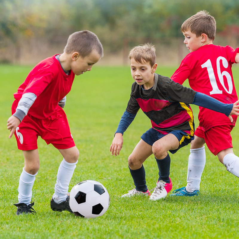 1 Set Hafif Taşınabilir Mini F - Training Net Mini incelemesi ve fiyatı